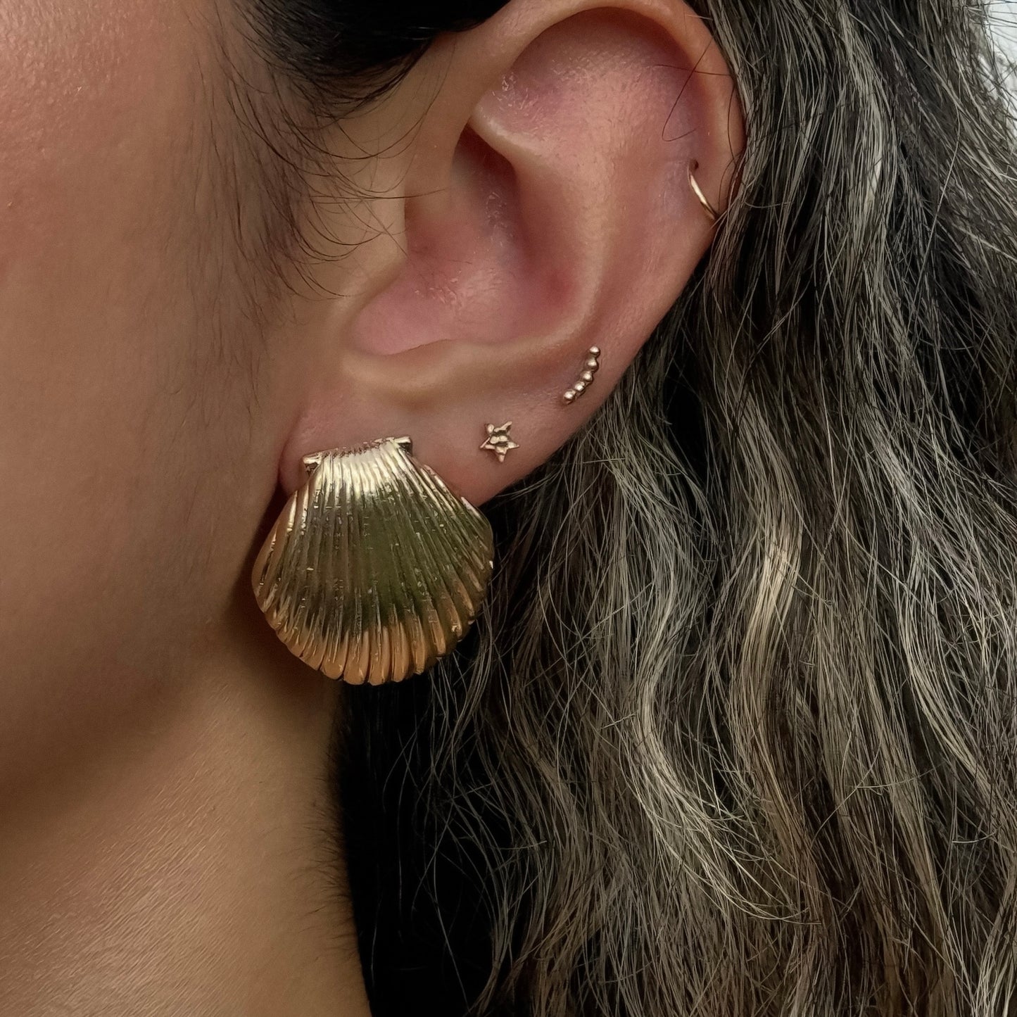 Shell Earrings